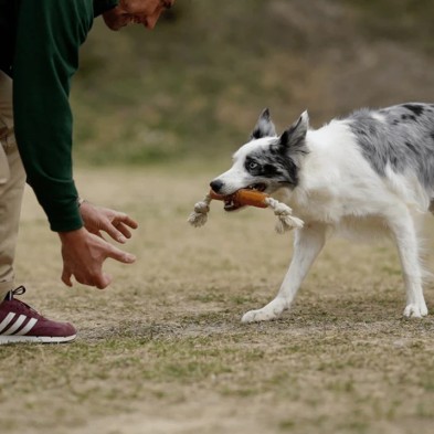 Retorn Rub Flosser With Rope para perros