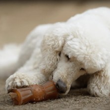 Retorn Rub Loop Treat para perros
