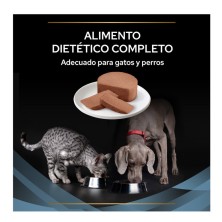 Purina Pro Plan Veterinary Diets Comida Húmeda Perro/Gato Convalecencia 195 gr