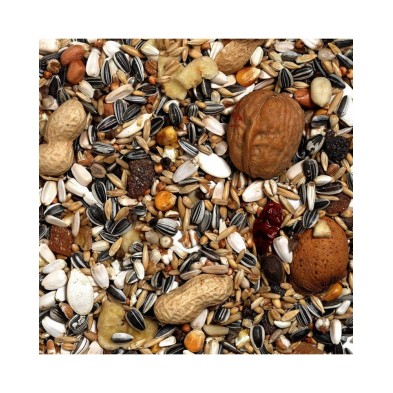 Versele-Laga Mix Nueces Exoctic Para Loros 750 gr