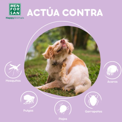 Repelente natural de insetos I Menforsan Spray Anti Insectos con Margosa