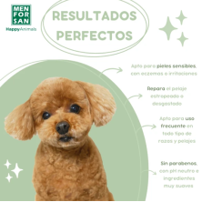 Menforsan Shampoo Cicatrizante com Aloe Vera | Cuidado e Regeneração