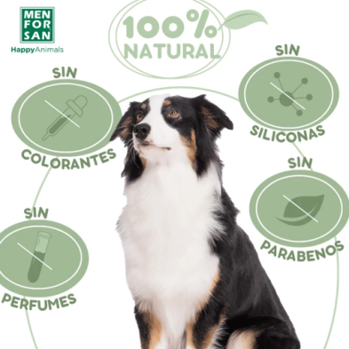 Menforsan Shampoo Cicatrizante com Aloe Vera | Cuidado e Regeneração