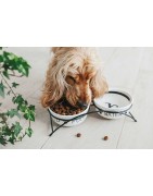 Ração hipoalergénica para cães - Superpet