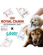 Comida Úmida Royal Canin gama Veterinária para Cães