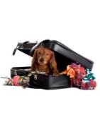 Accesorios de viaje para perros, mantas, correas y bebederos