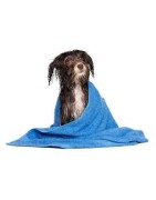 Produtos de saúde e higiene para cães