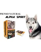 Ração semi-úmida para cães
