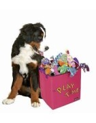 Juguetes para perros: pelotas, peluches y mordedores
