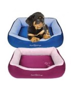 Camas y colchones para perros - Superpet