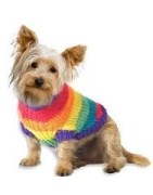 Roupas para cães: casacos, coletes e camisas