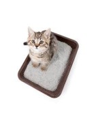 Arena para gatos - Superpet